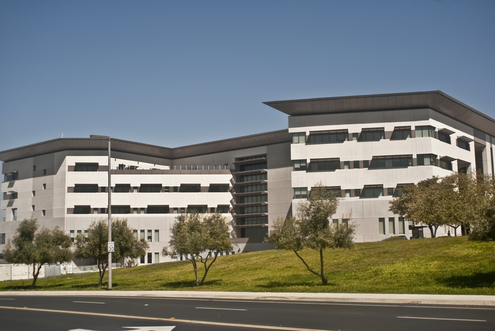 Top 8 Reasons to Move to San Marcos, CA in 2024 | Move Central 11 moving to San Marcos shutterstock 27080029 1 San Marcos Campus of California College San Diego