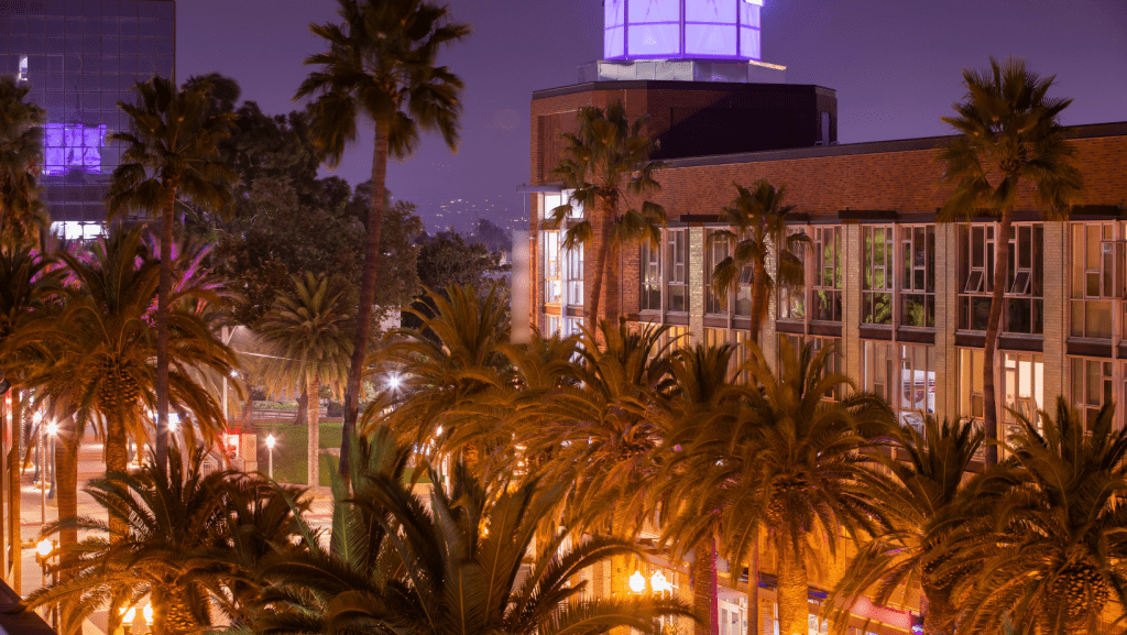 anaheim-california-palm-trees