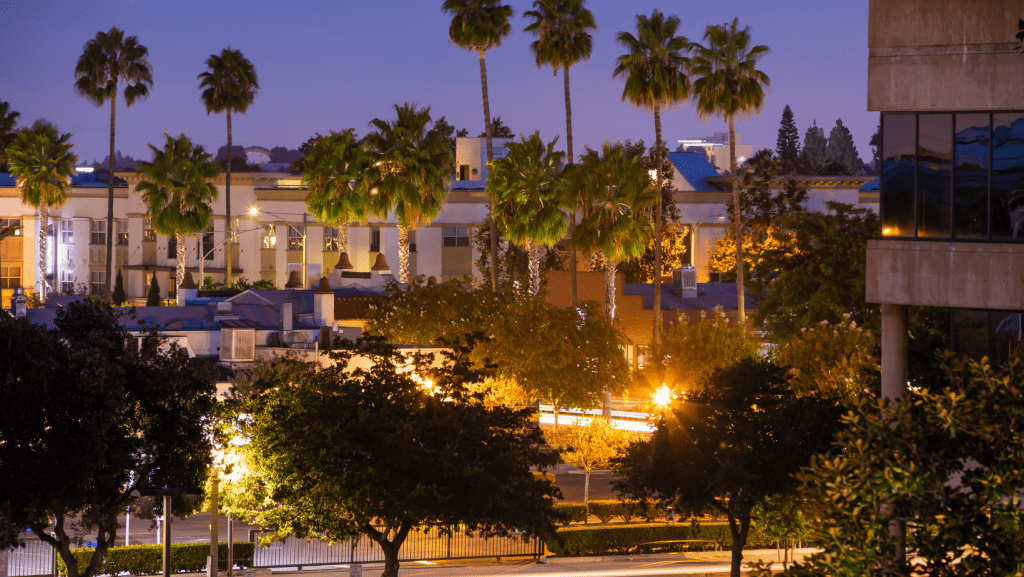 fun things to do in Anaheim anaheim california palm trees nighttime