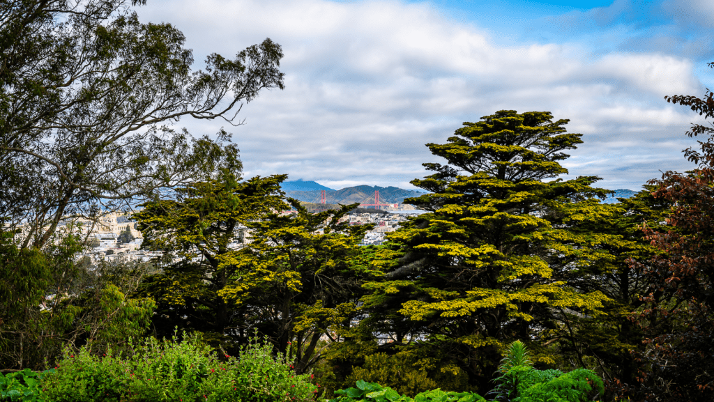 buena-park-california-city